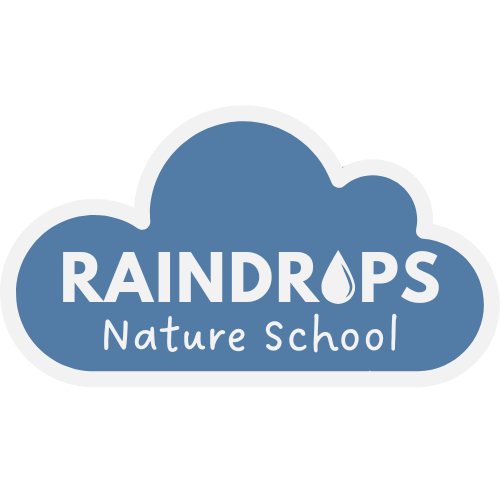 Raindrops Nature School