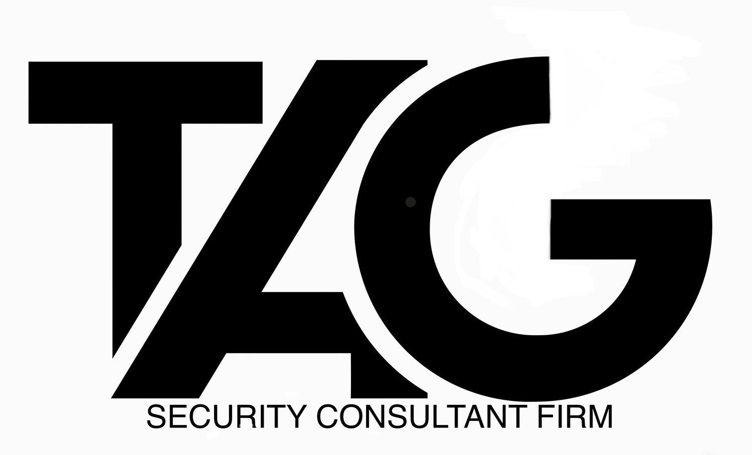 Security Consultant Firm 