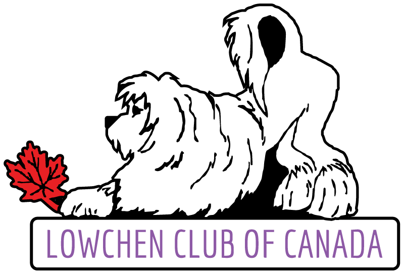 The Lowchen Club of Canada