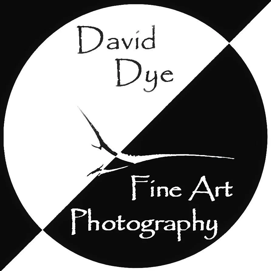 David Dye Fine Art Photography
