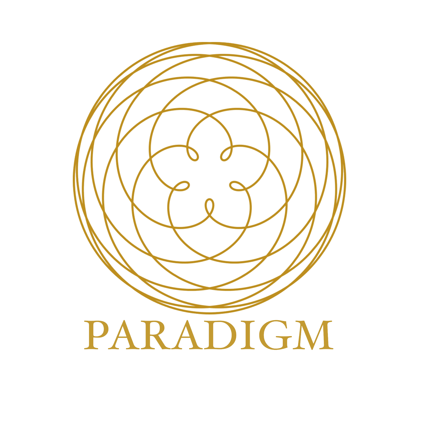 Paradigm Portal