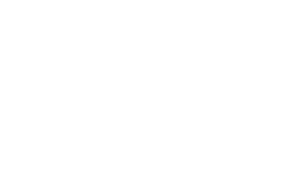 Letitia R Stewart Consulting, LLC