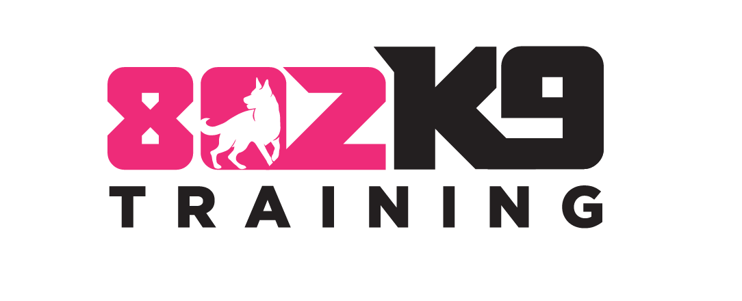802 k9 Training