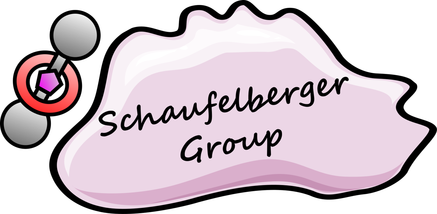 The Schaufelberger Laboratory