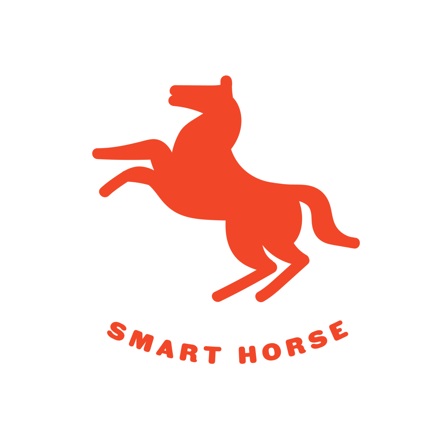 Smart Horse