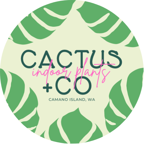 Cactus + Co. Camano