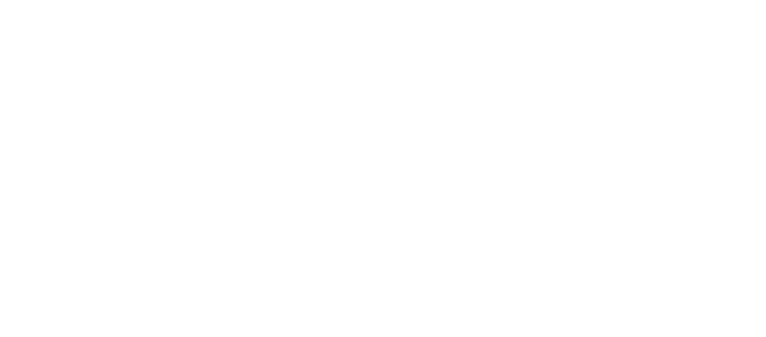 Feexer