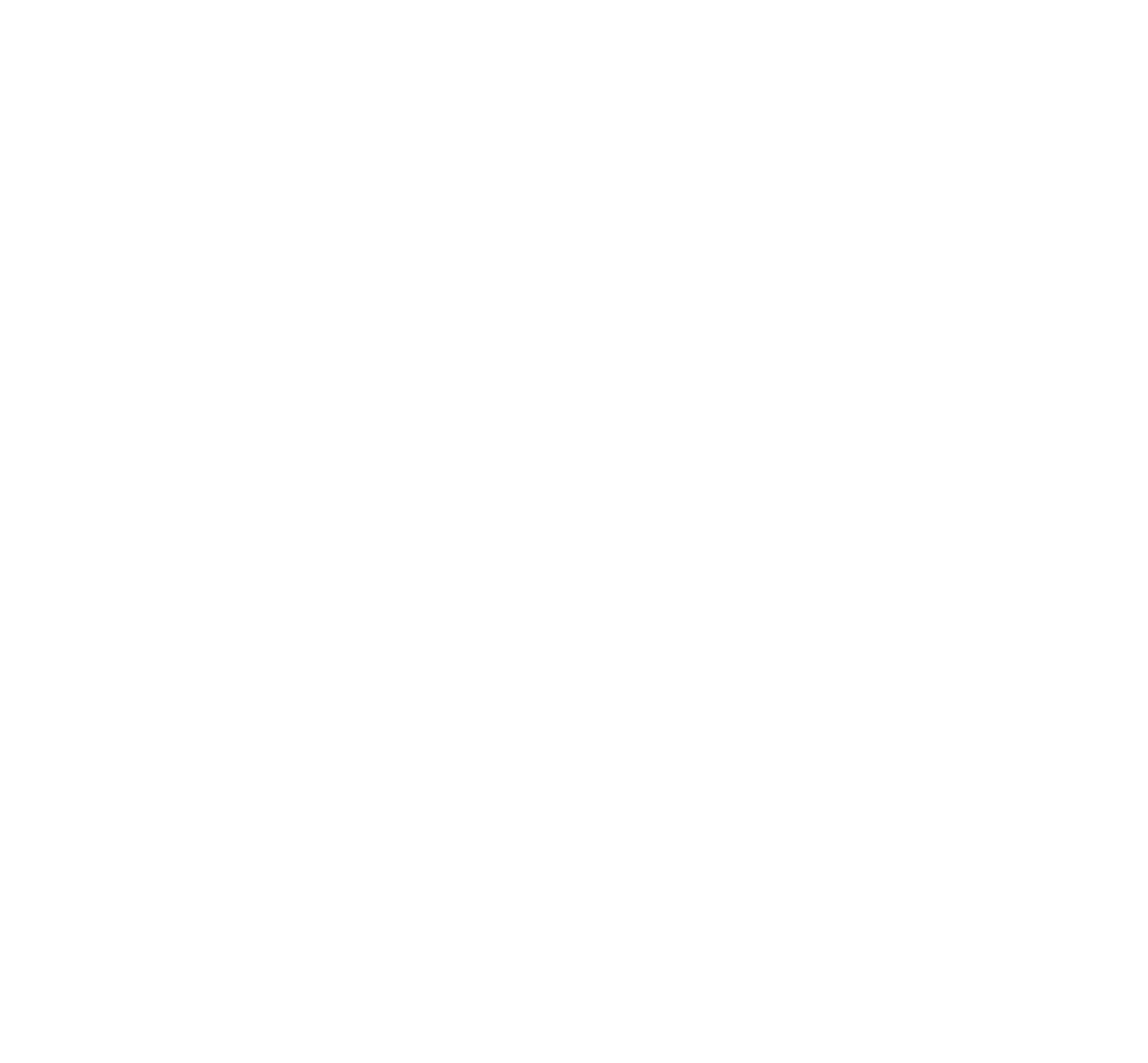 IB BAG