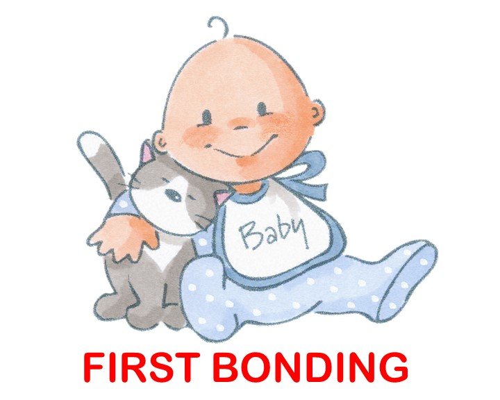 First Bonding
