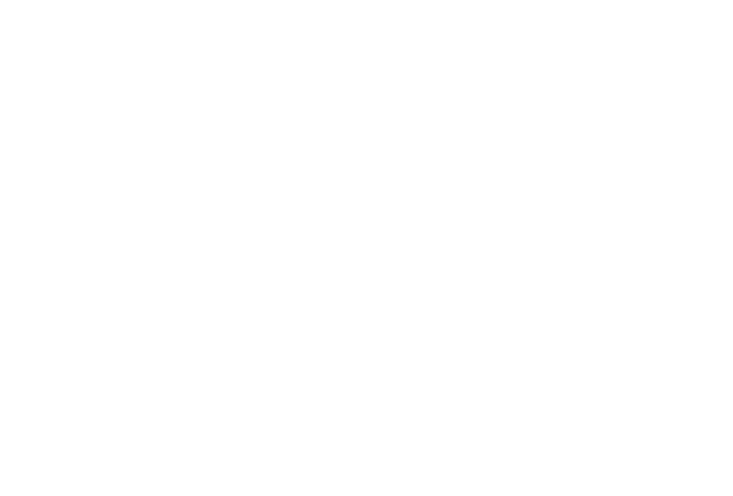 Pleasure Snowboard Mag