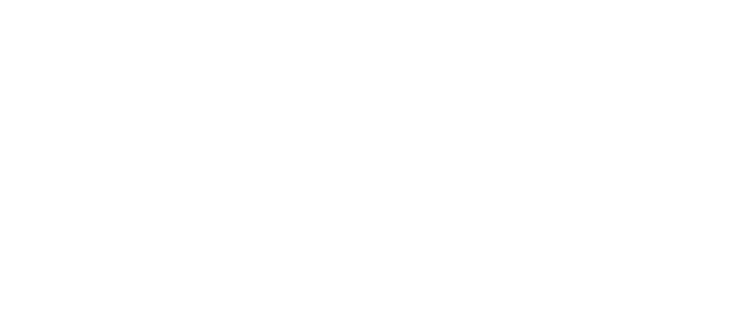 V3P Non-Profit