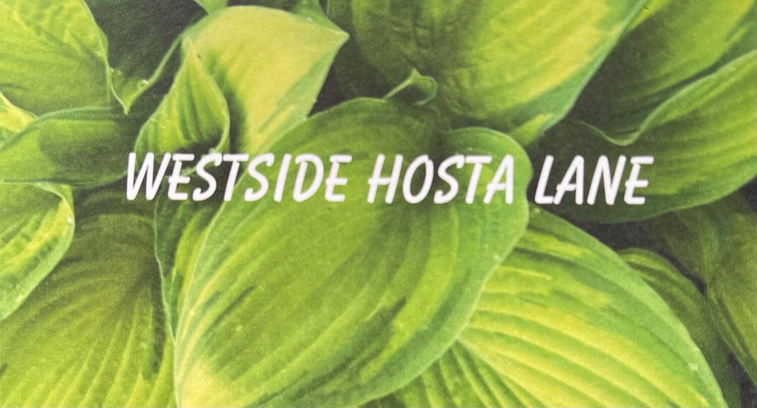 Westside Hosta Lane