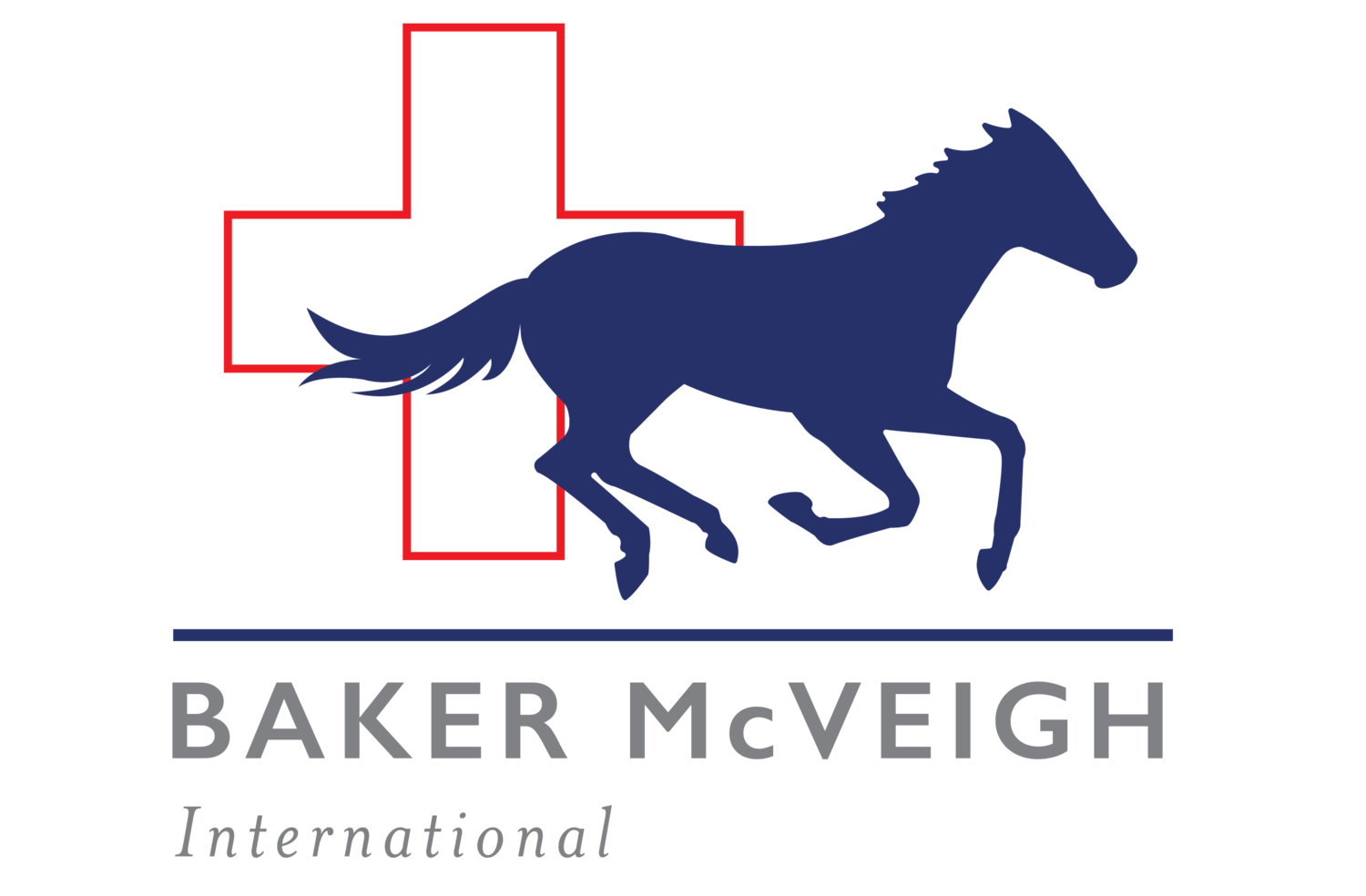 Baker McVeigh International