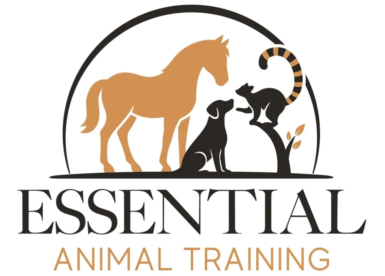 Essential Animal Training