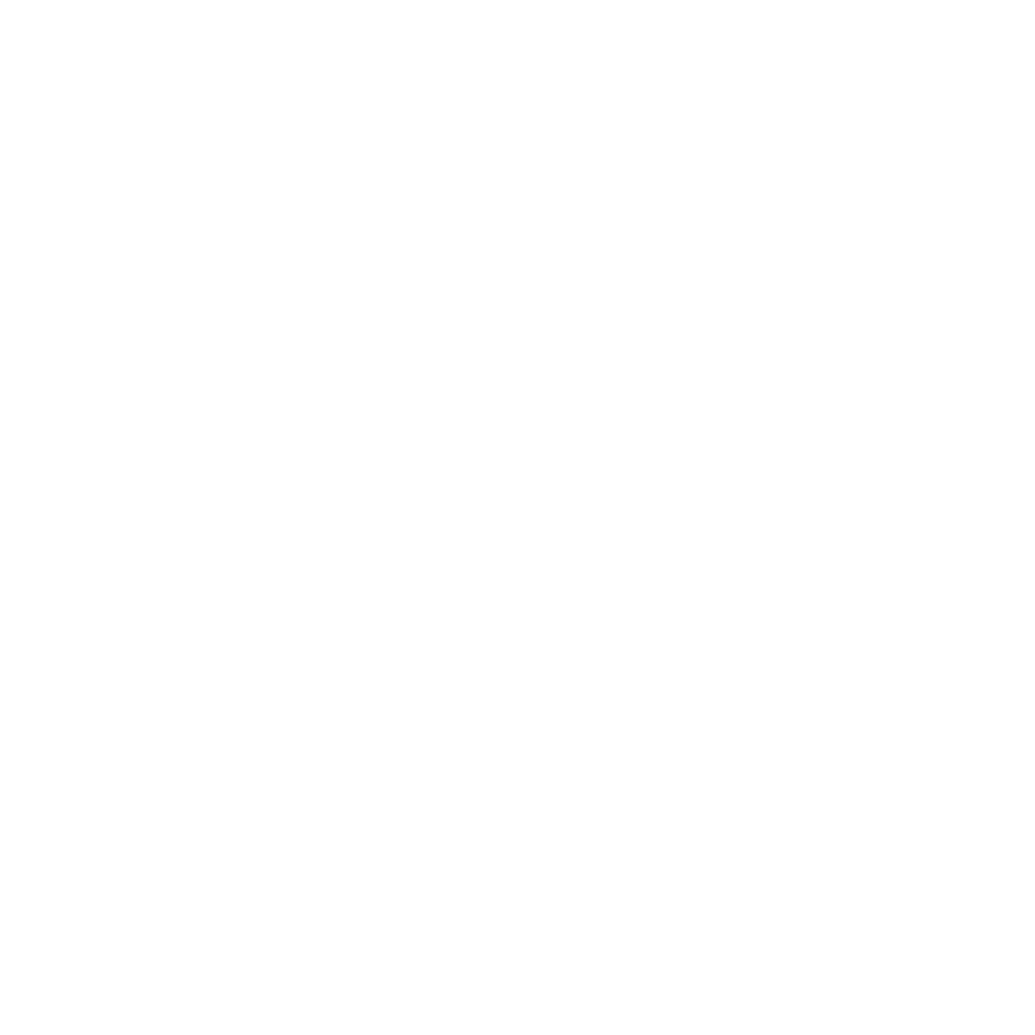 See More Records Inc.