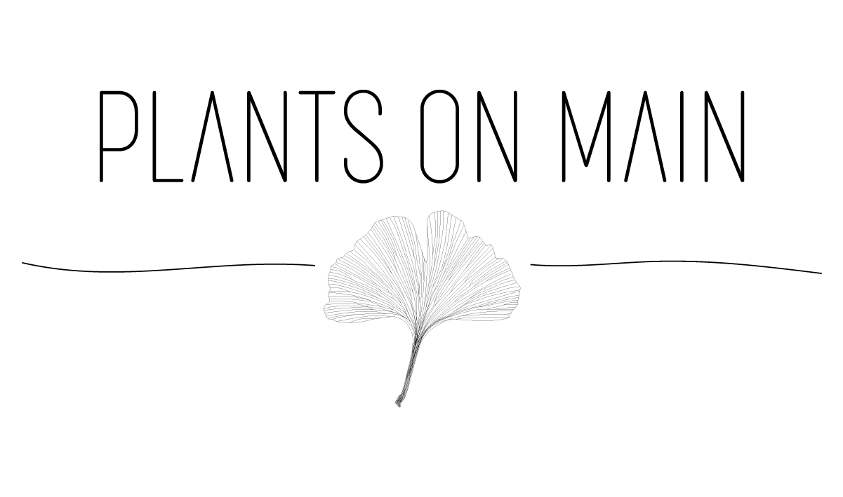 Plants on Main