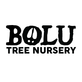 Bolu Tree Nursery