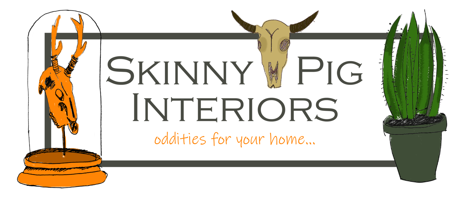 Skinny Pig Interiors