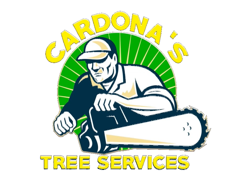 Cardonas Tree Services