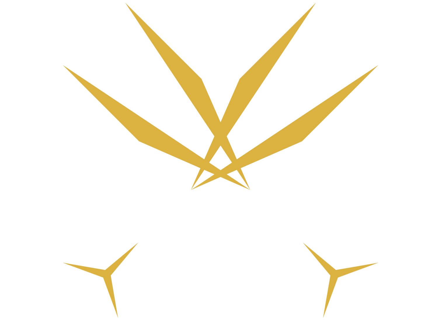 Champagne Dreads - Innovative reggae hybrid on another level