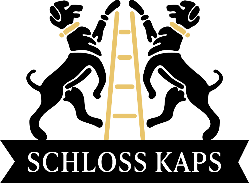 Schloss Kaps Kitzbühel