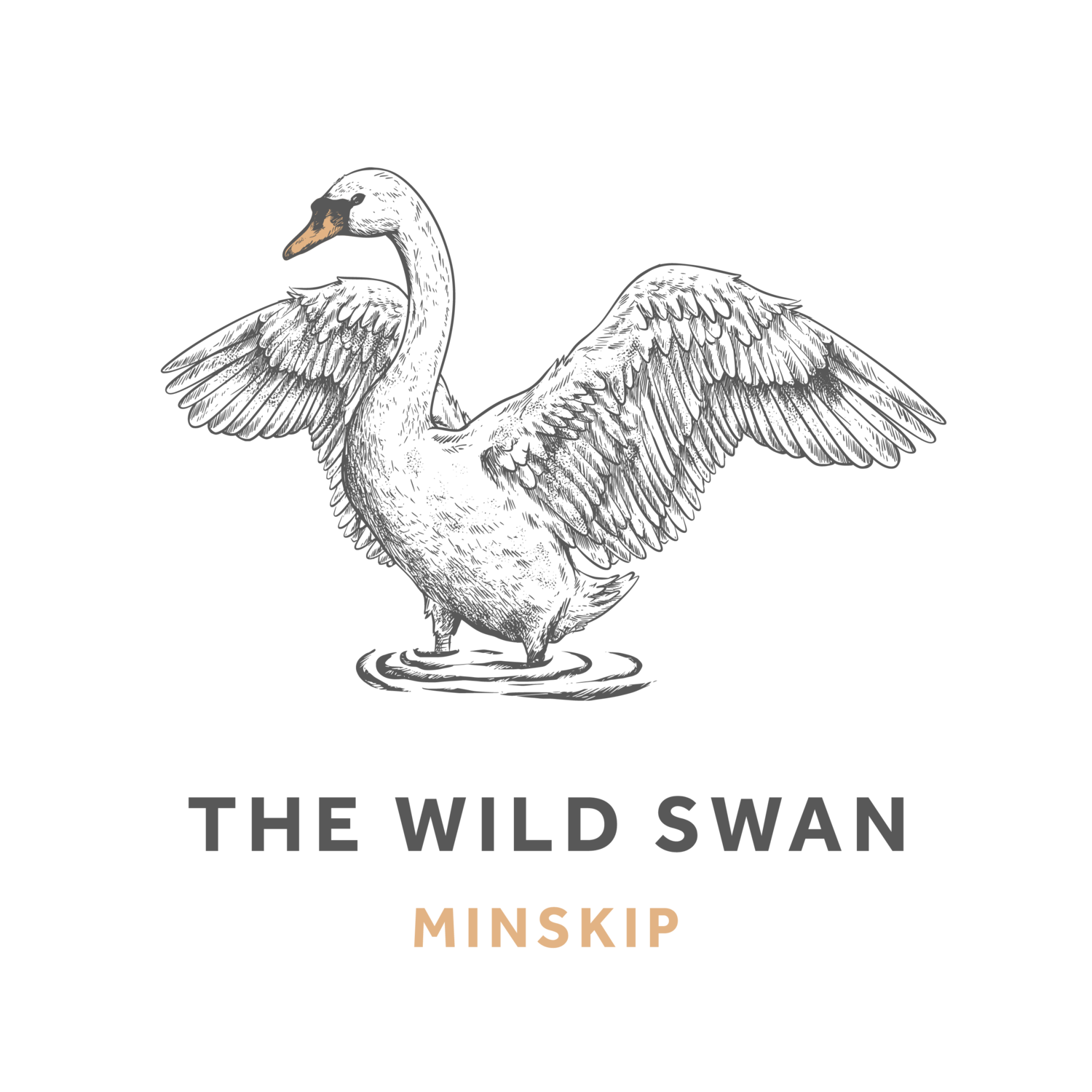 The Wild Swan
