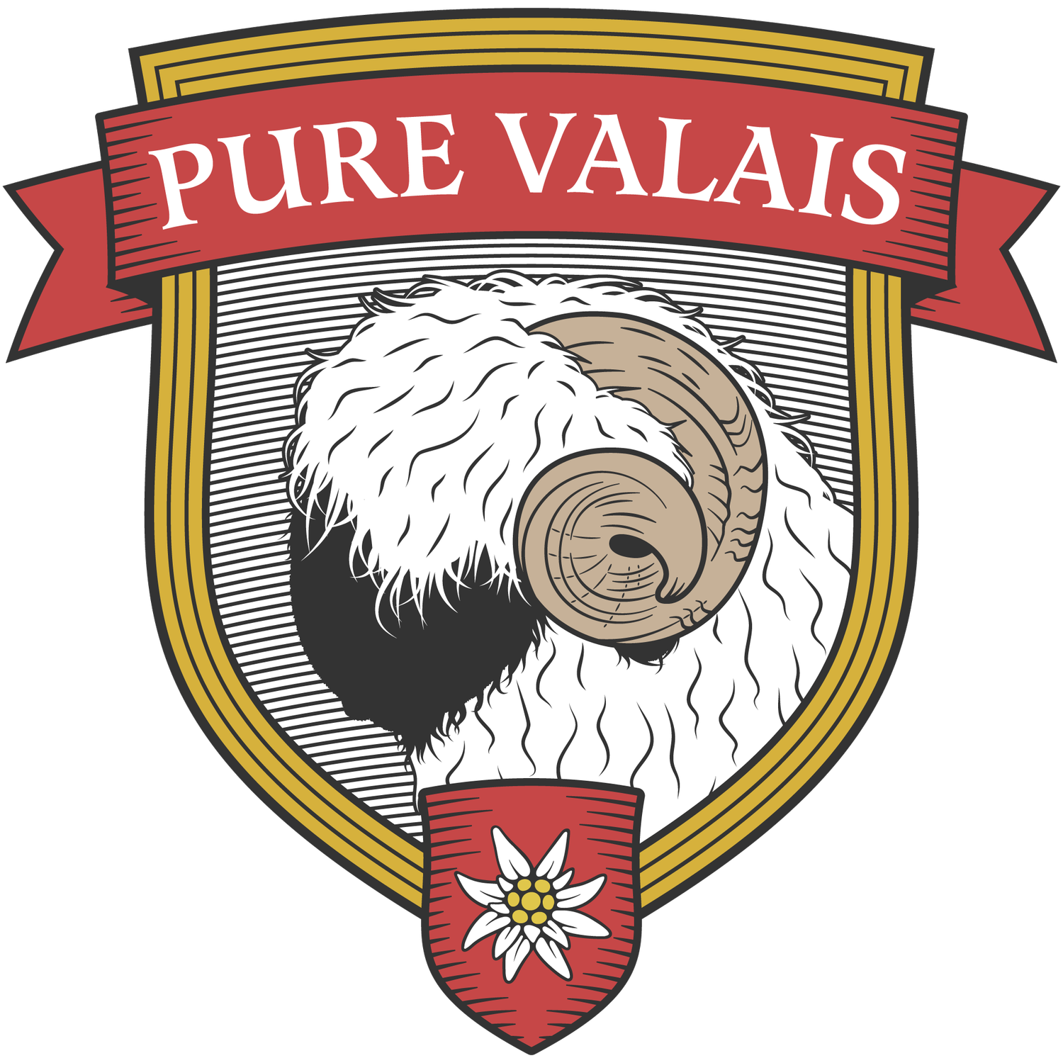 Pure Valais Blacknose Sheep Breeders in the U.S.