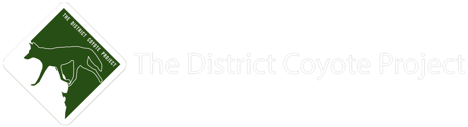 The District Coyote Project