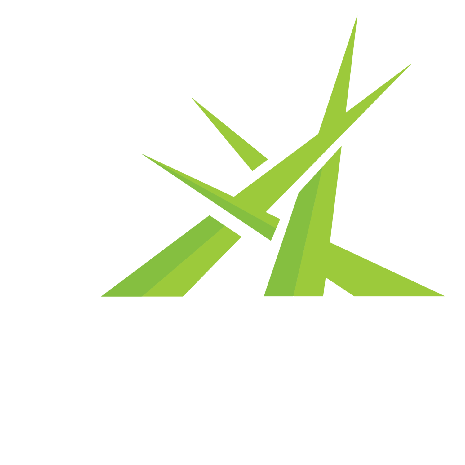 ARC Sound•Stage•Lighting