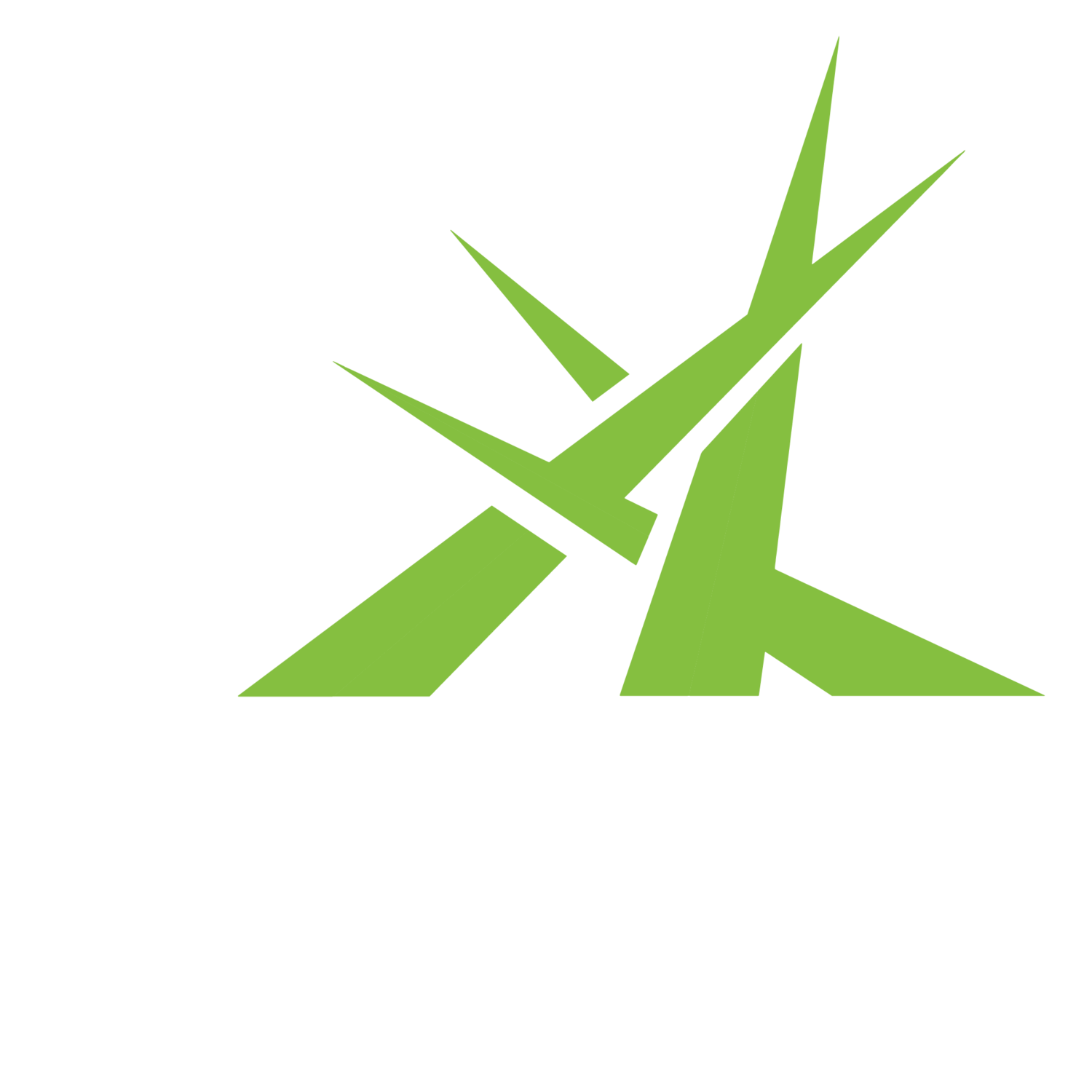 ARC Sound•Stage•Lighting