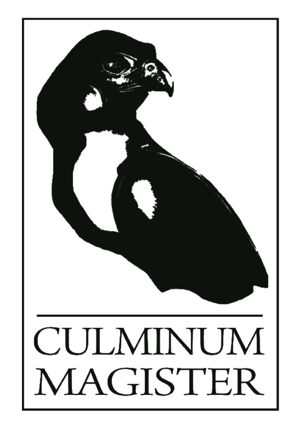 Culminum Magister