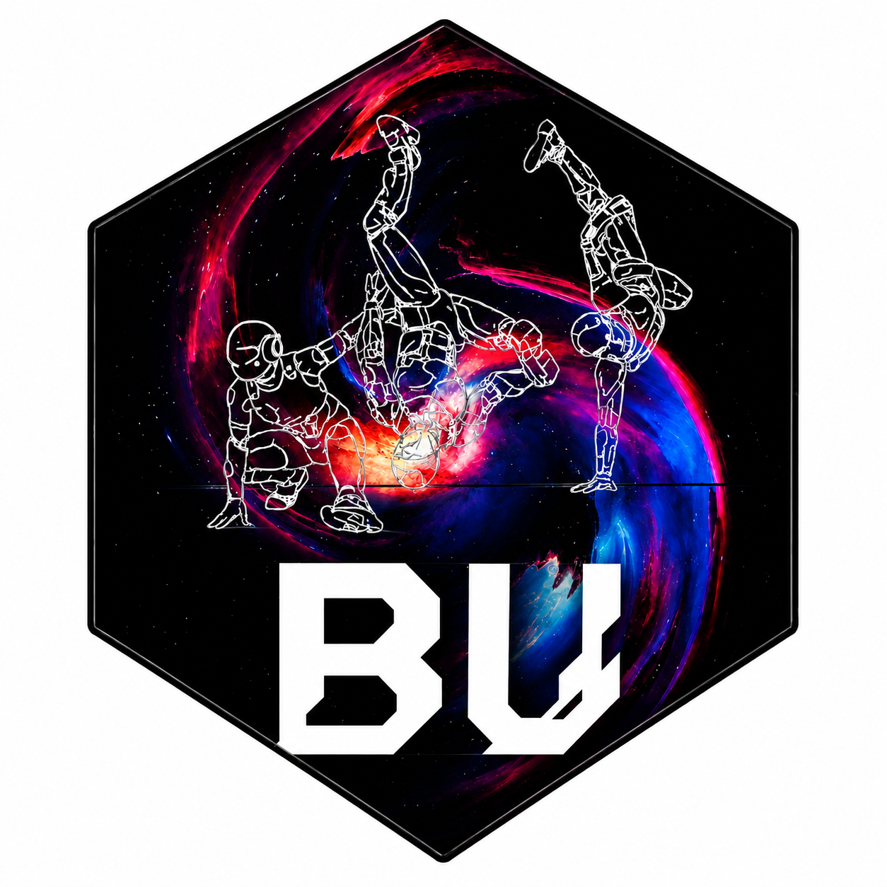 The Bee Universe