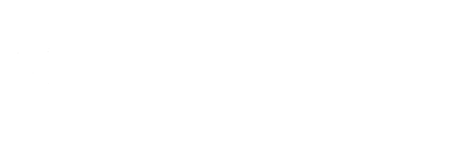 TRUTH BBQ