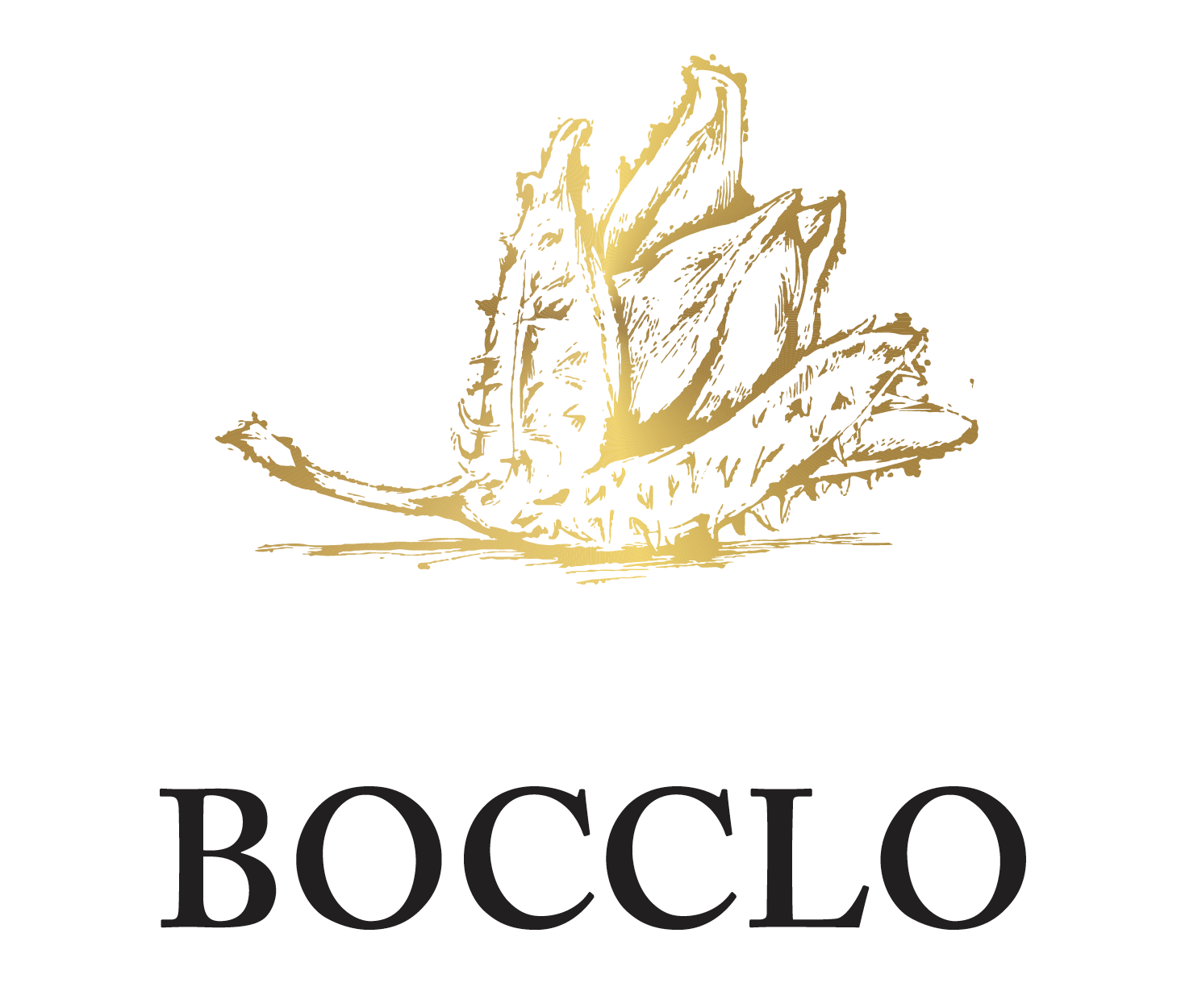 BOCCLO