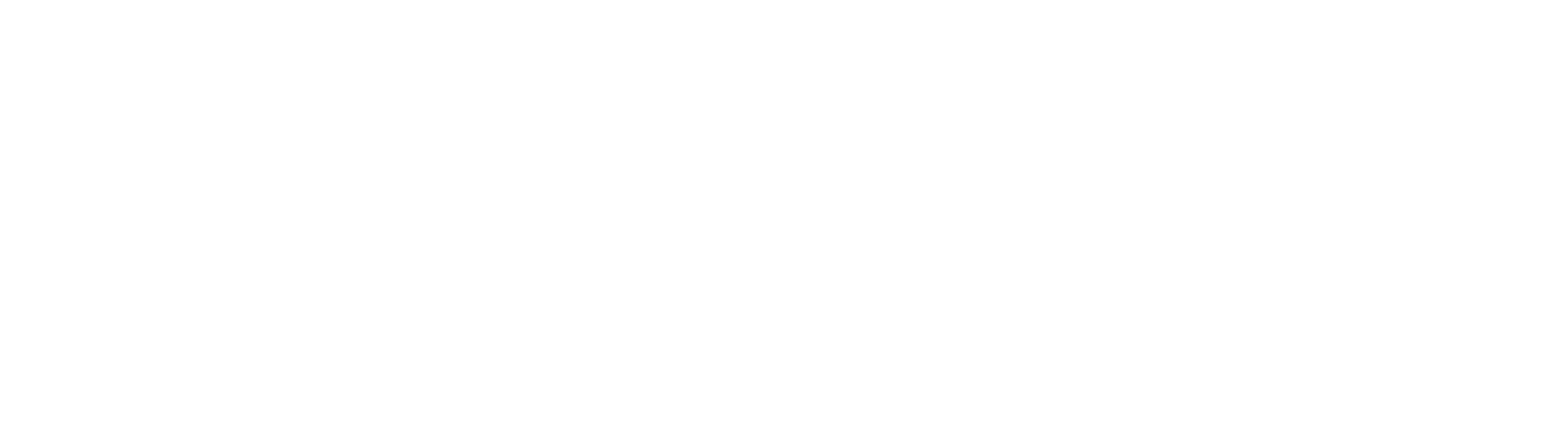 Sprint AI