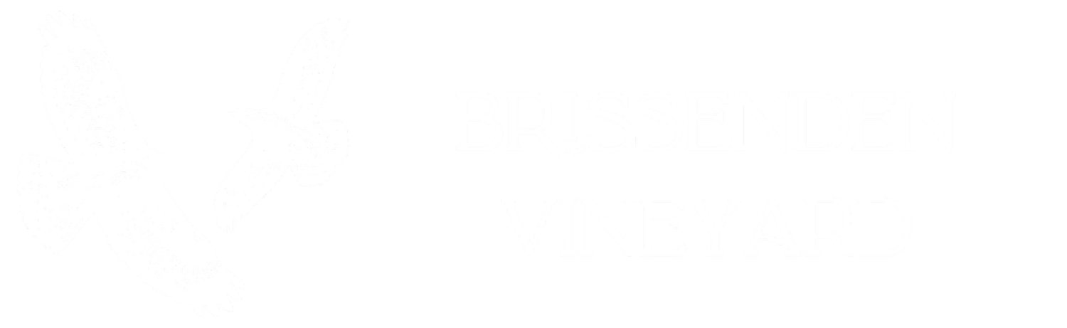 Brissenden Vineyard