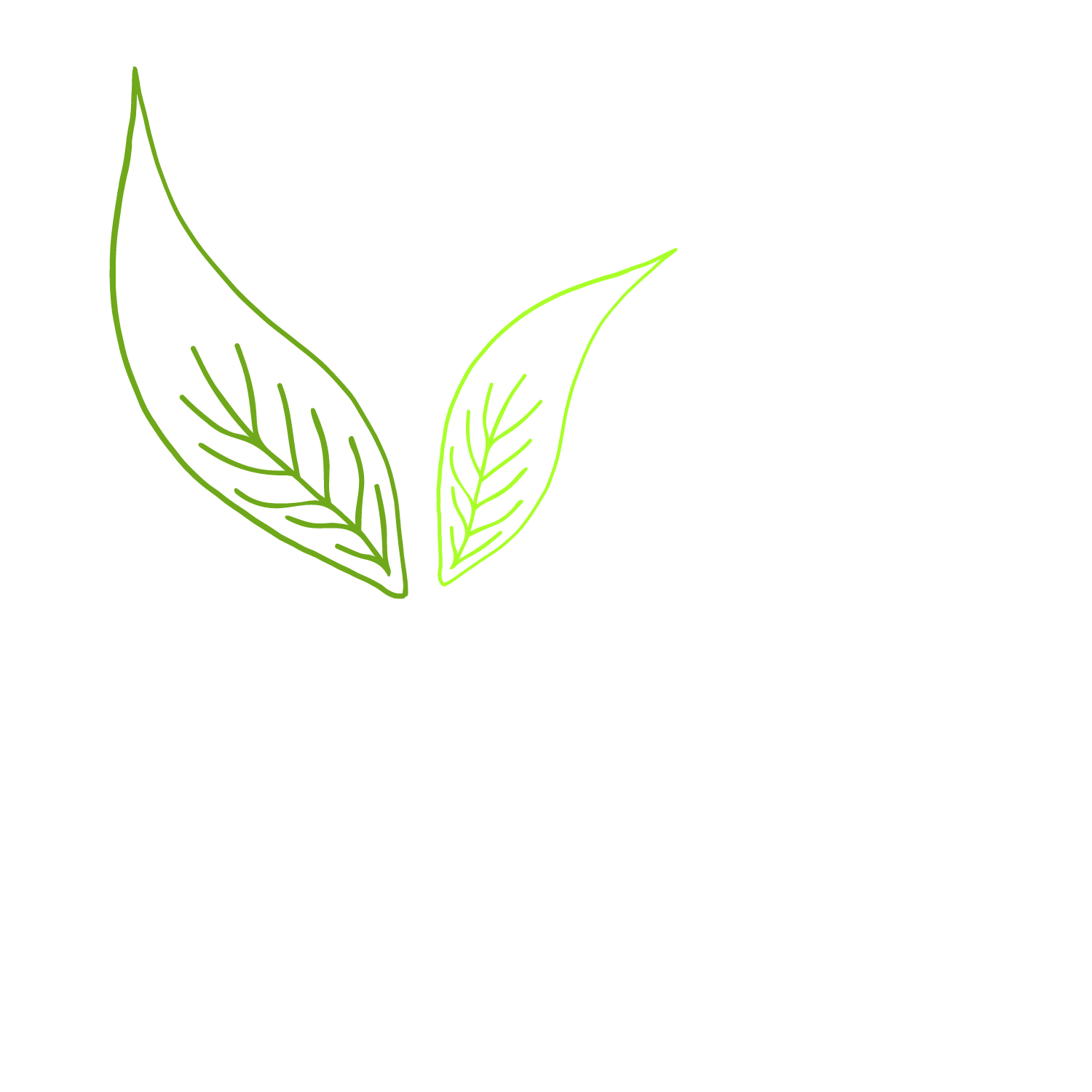 Nature&#39;s Boardroom