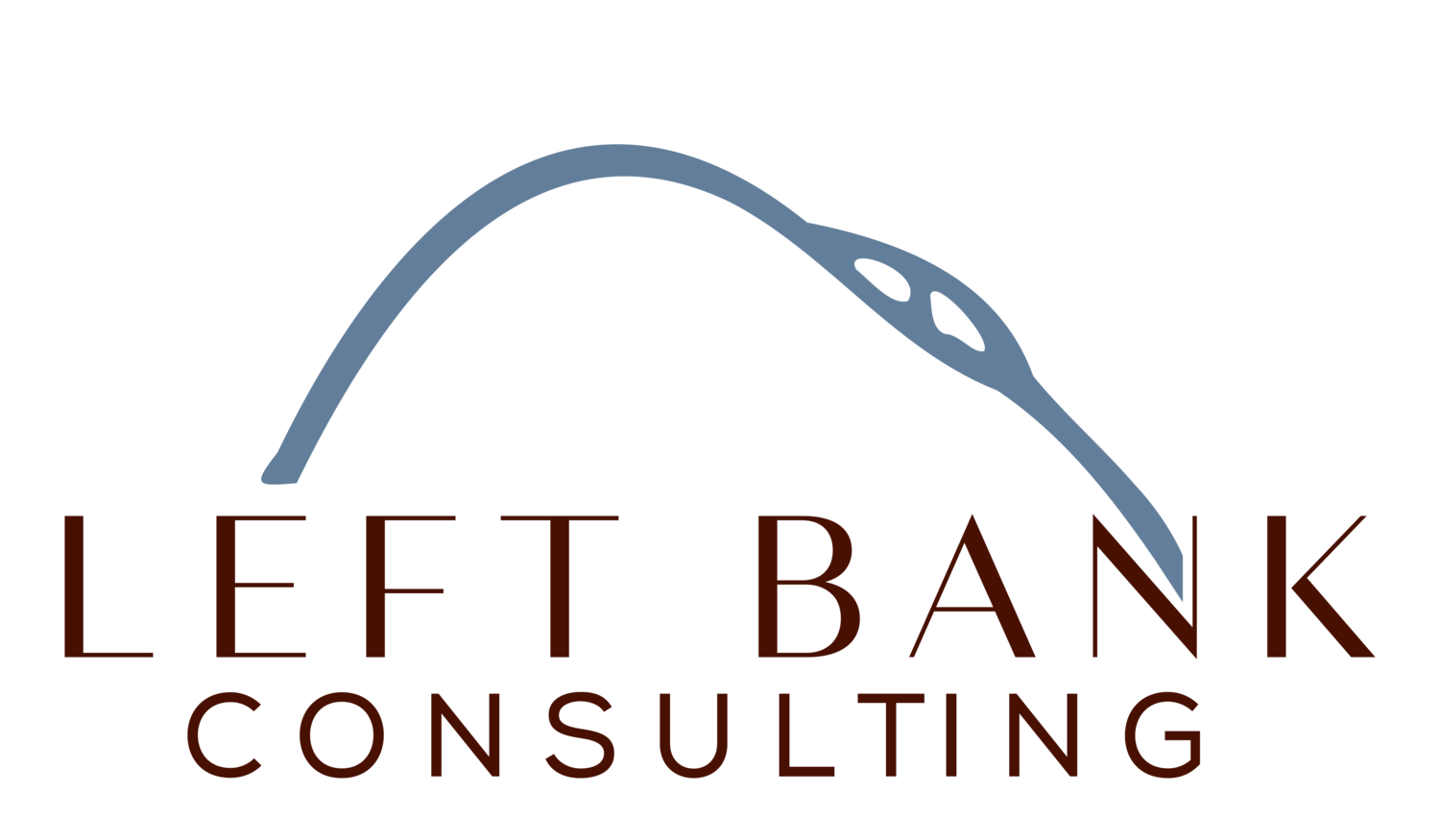 Left Bank Consulting