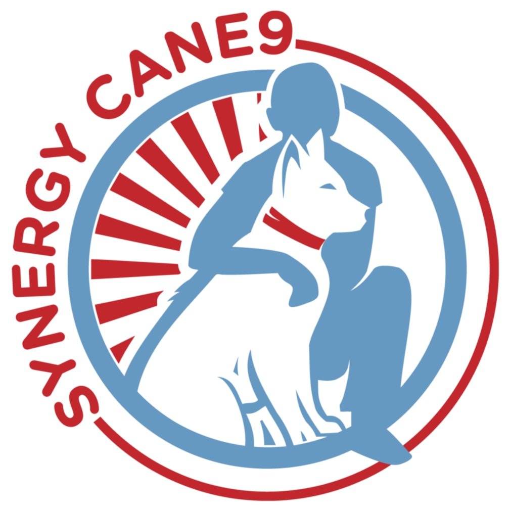 Synergy Cane9
