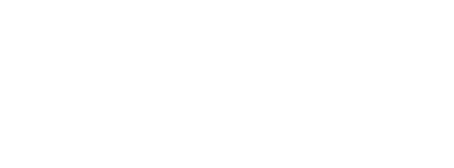 VERTISUB