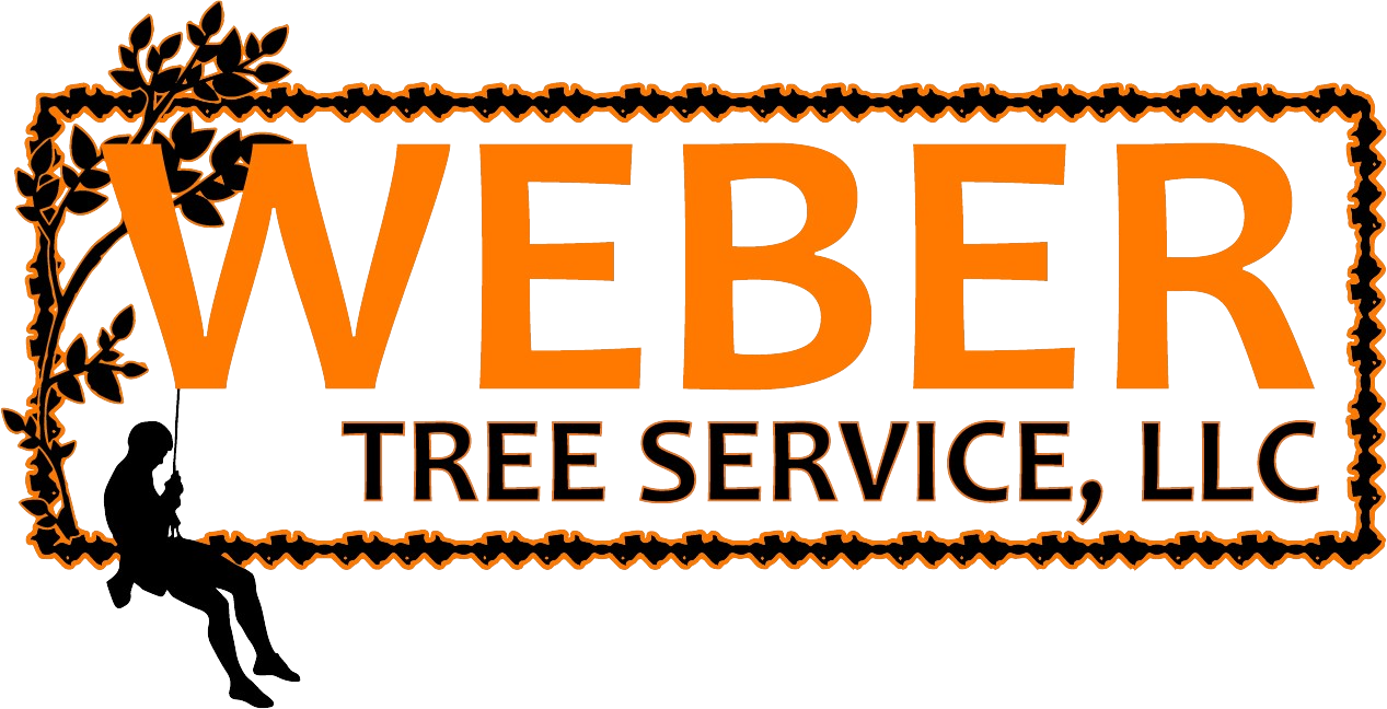 Weber Tree Service