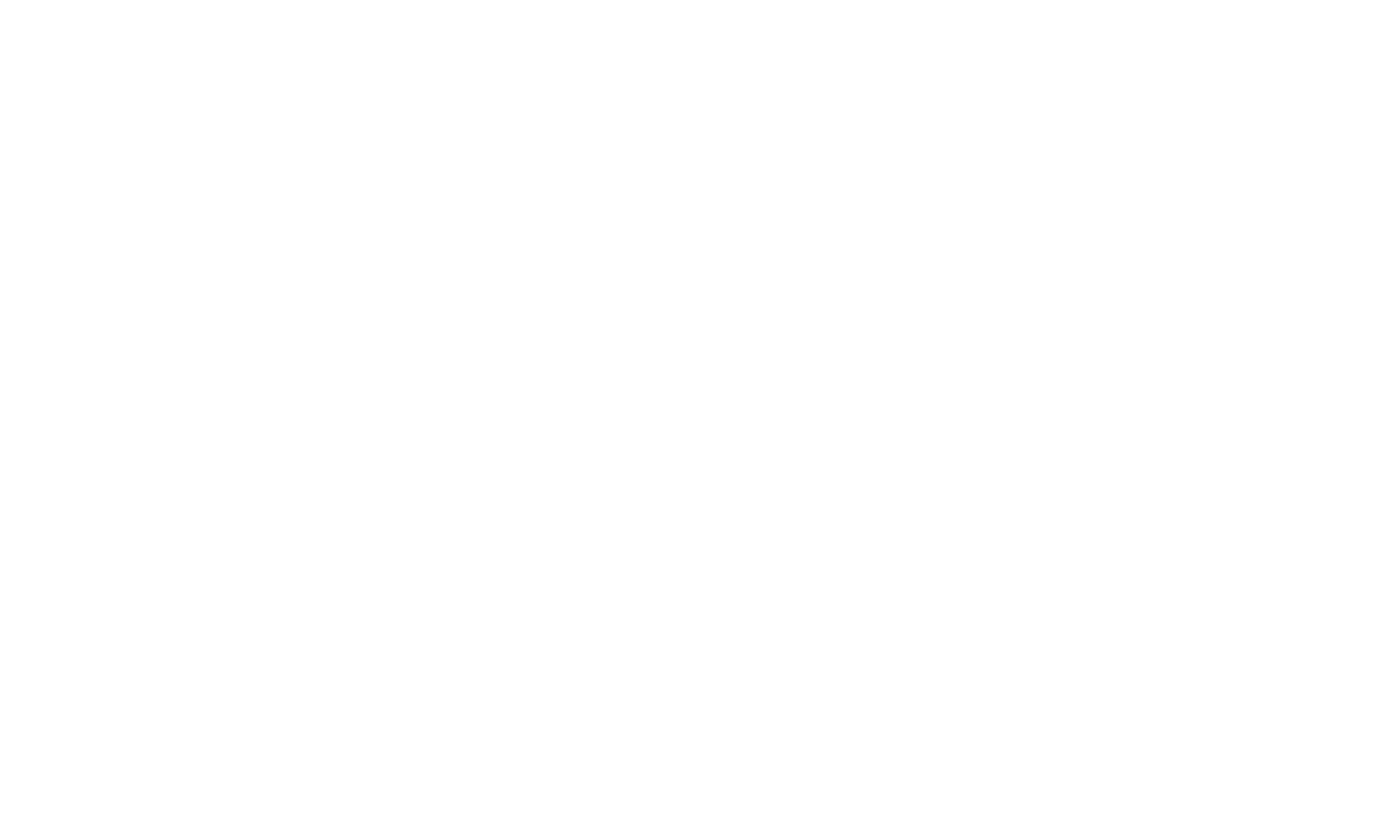 THE ABIE AGENCY