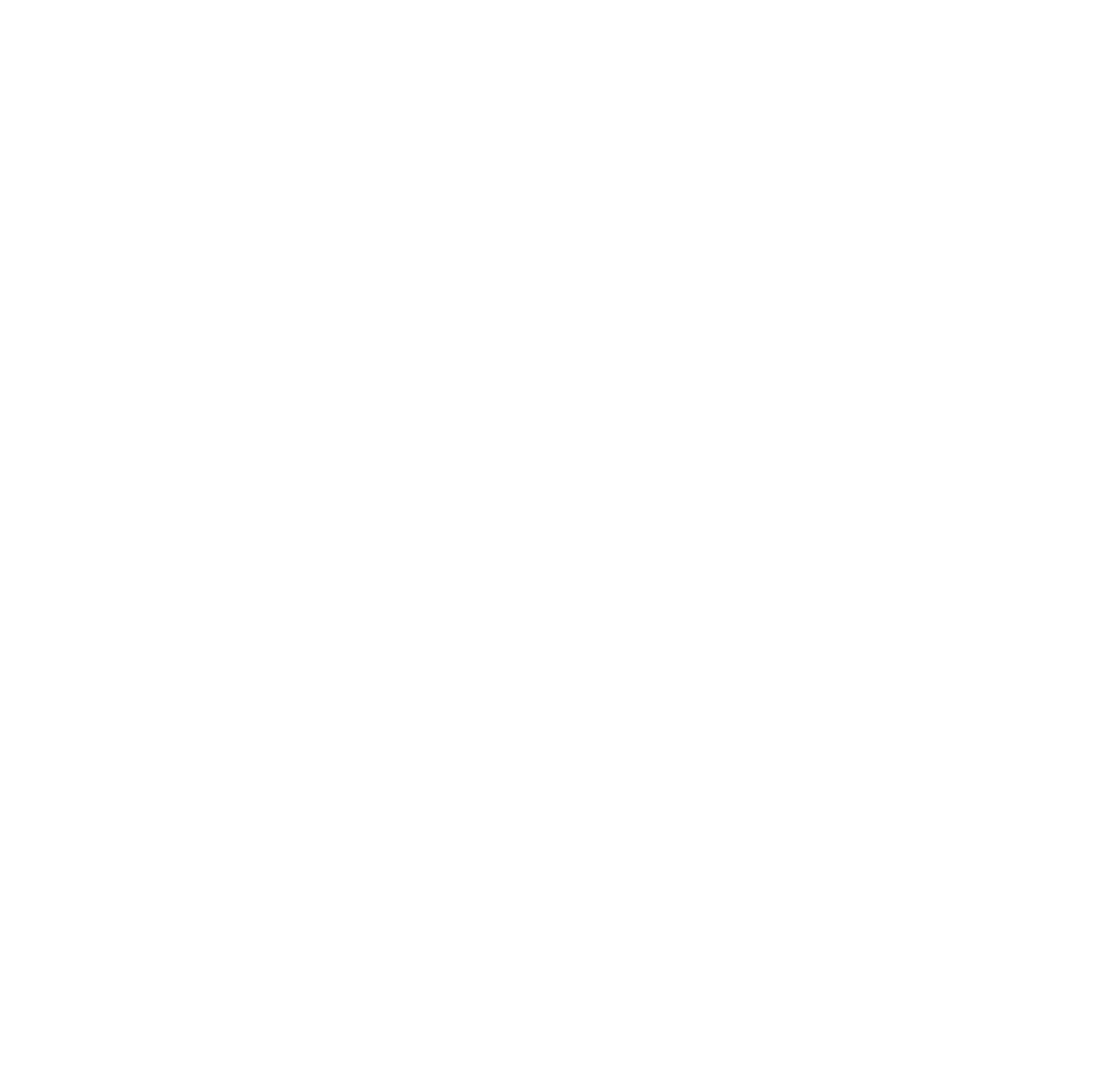 JS Muay Thai