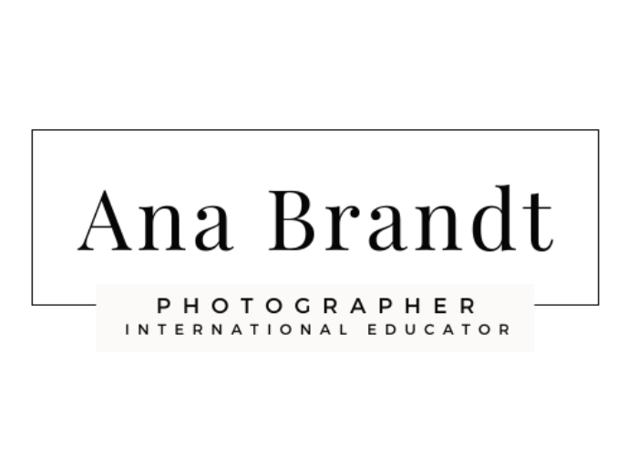 Ana Brandt Workshops