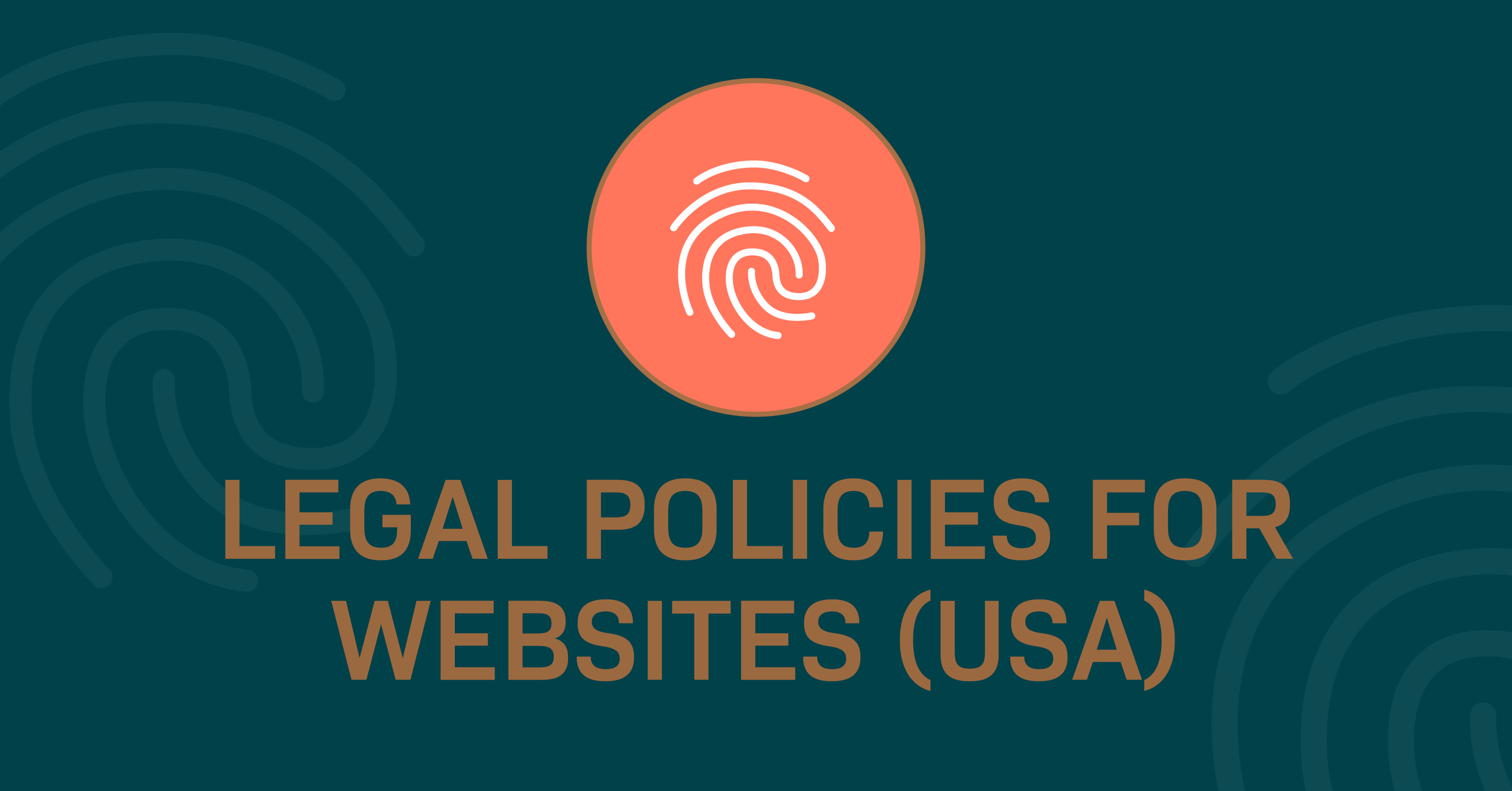 网站的法律政策(美国)