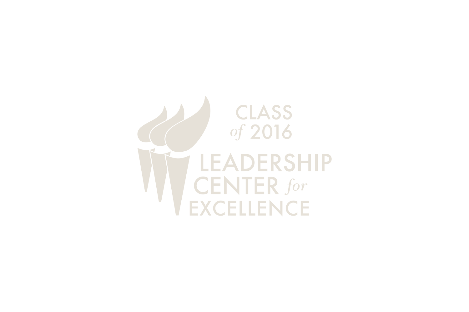 Class of 2016 Leadership Center for Excellence Logo