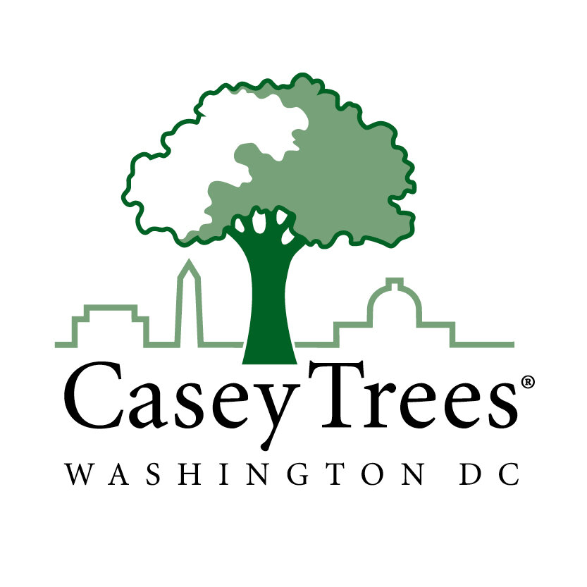 casey-标志-design-powers.jpg