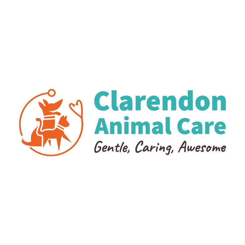 clarendon-animal-care-标志-design-powers.jpg
