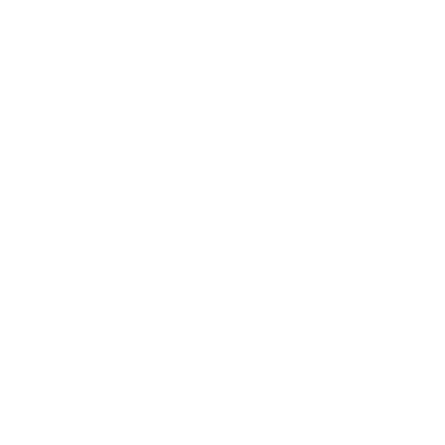 LucyGoose Ice Creamery