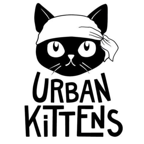Urban Kittens